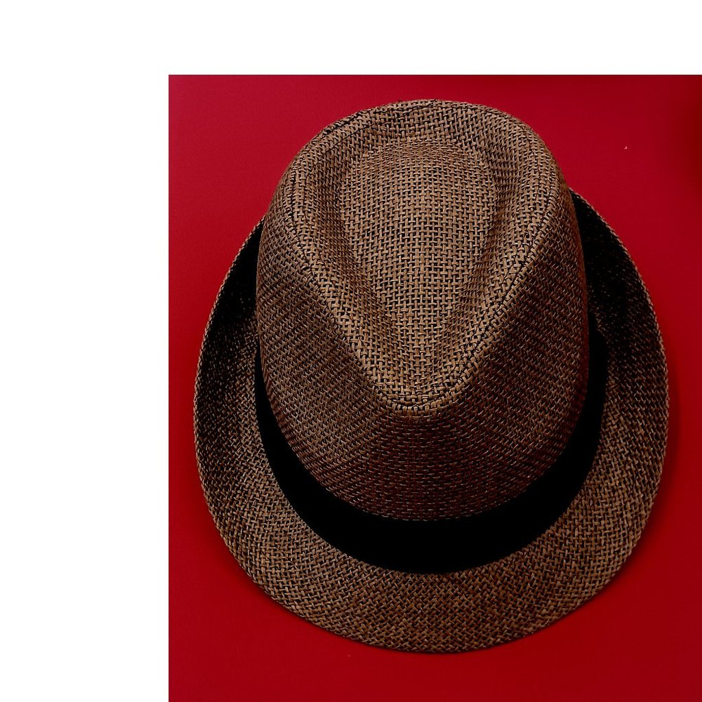 Straw Fedora (Brown)